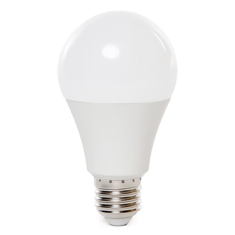 Roska 10W E27 A60 LED Bulb — Daylight, Pack of 10 (R-10DL)